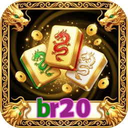 br20
